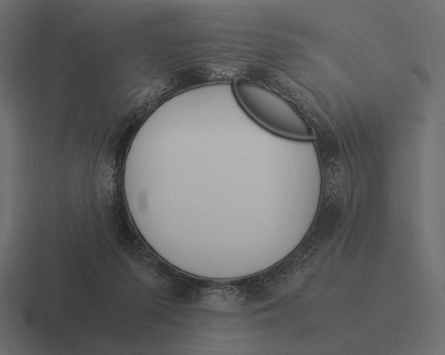 X0000116370215200912291717