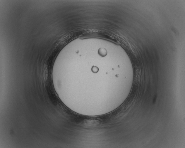 X0000116370220200912291716