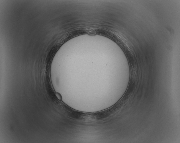 X0000116370221200912291716