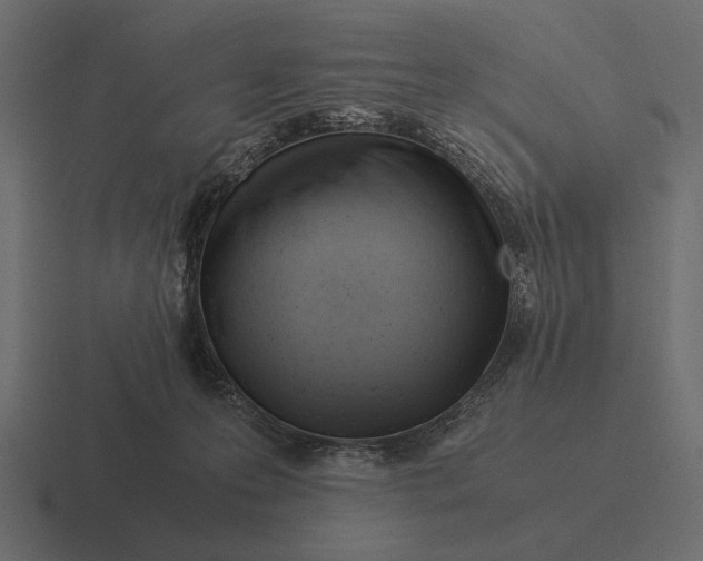 X0000116370223200912291716