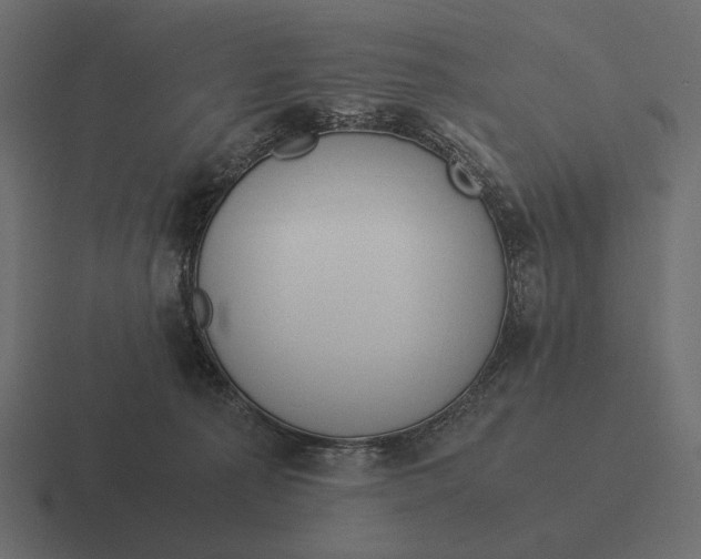 X0000116370225200912291716