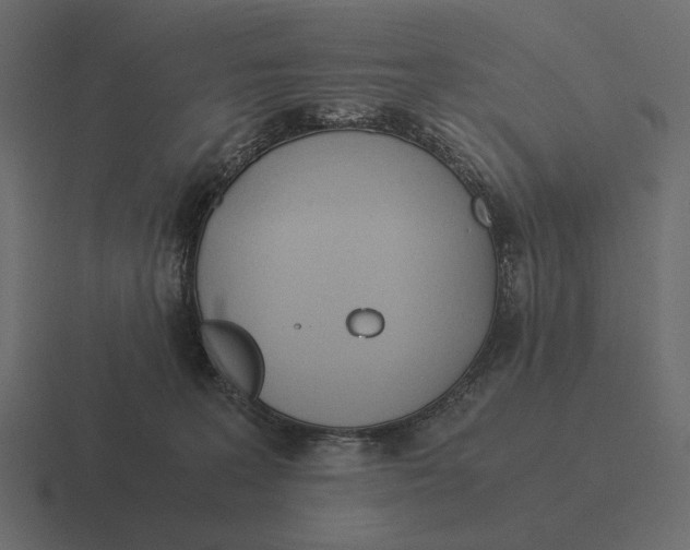 X0000116370227200912291716