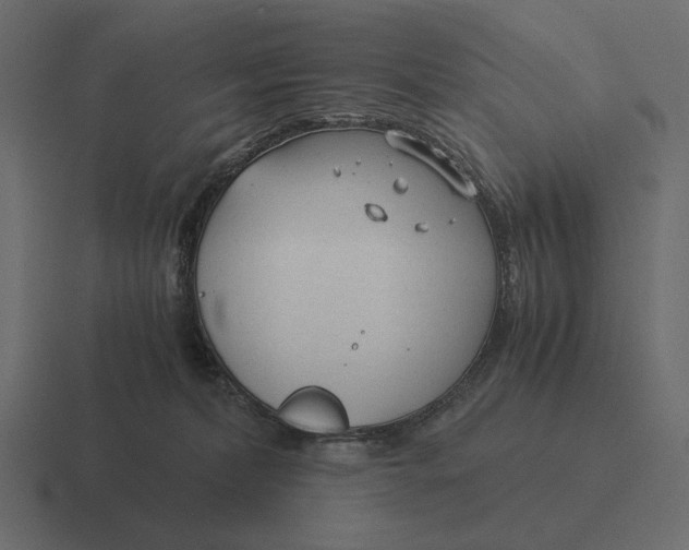 X0000116370228200912291716