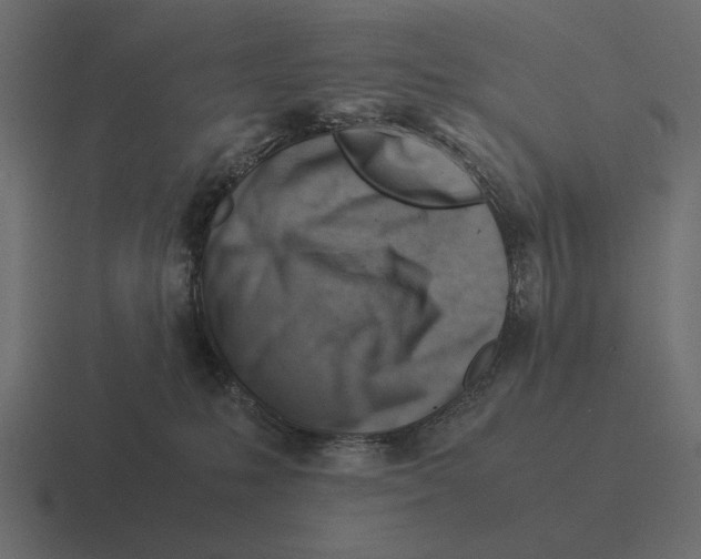 X0000116370231200912291716