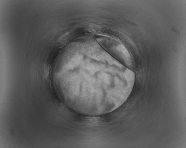 X0000116370233200912291716