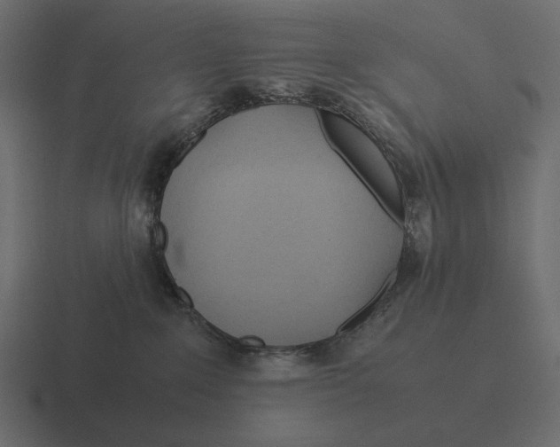 X0000116370235200912291716