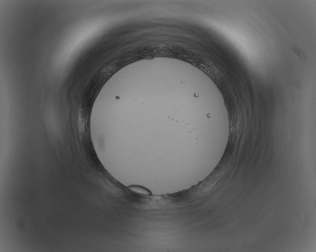 X0000116370239200912291716