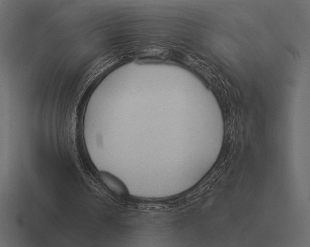 X0000116370242200912291716