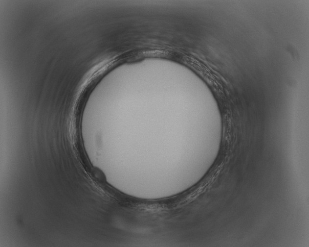 X0000116370245200912291716