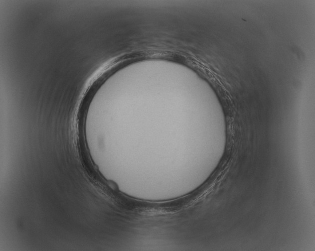 X0000116370246200912291716