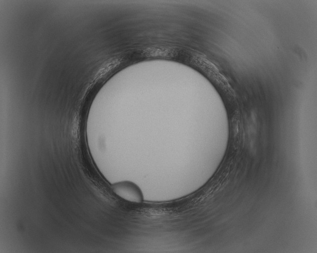 X0000116370250200912291716