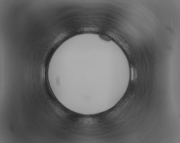 X0000116370253200912291716