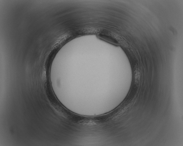 X0000116370254200912291716