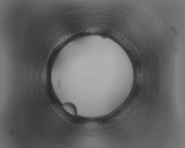 X0000116370256200912291716