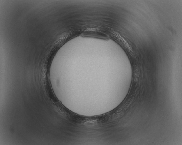 X0000116370257200912291716