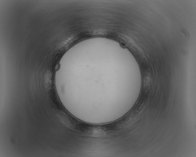 X0000116370264200912291716