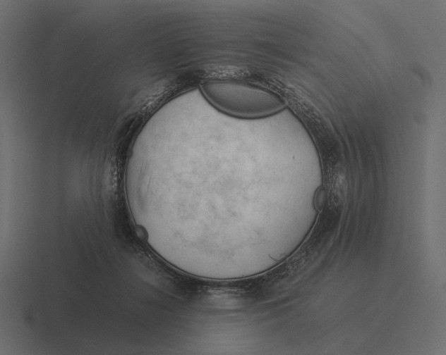 X0000116370268200912291716