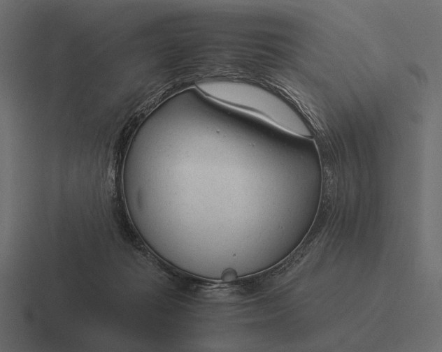 X0000116370269200912291716