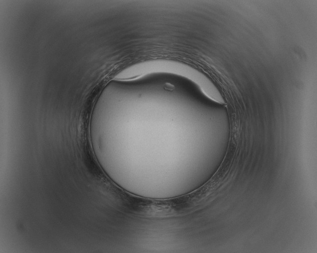 X0000116370270200912291716