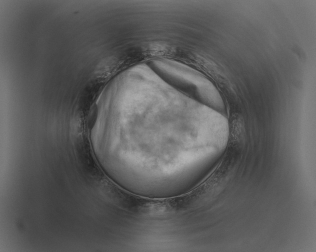 X0000116370272200912291716