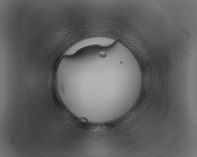 X0000116370274200912291716