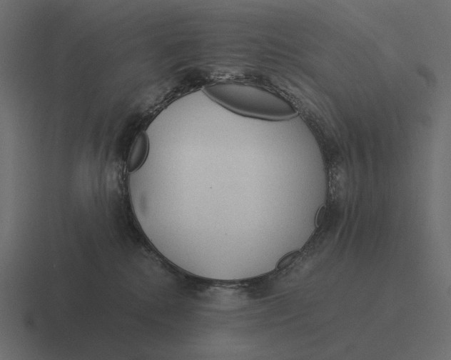 X0000116370280200912291716