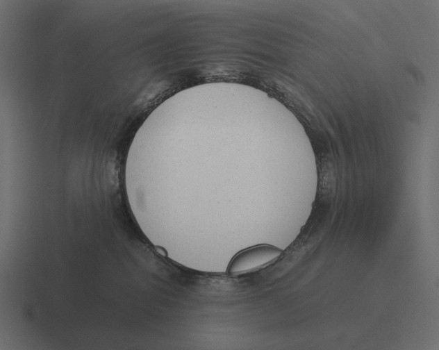 X0000116370282200912291716