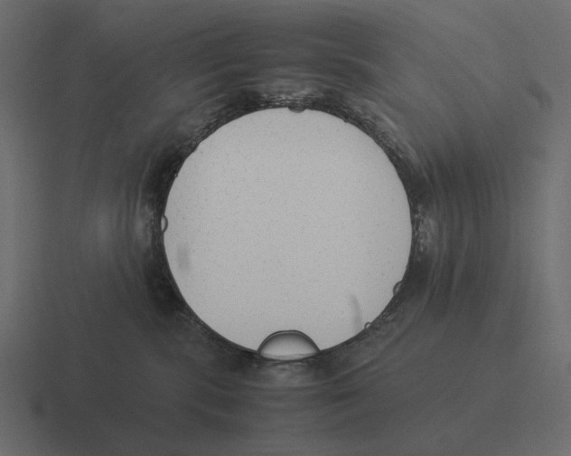 X0000116370283200912291716