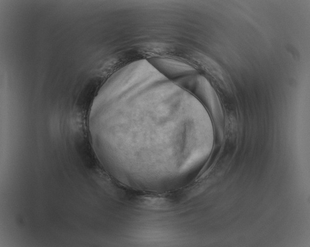 X0000116370284200912291716