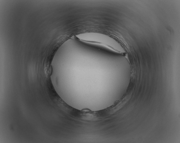 X0000116370285200912291716