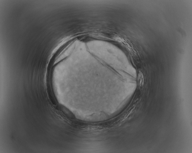 X0000116370292200912291716