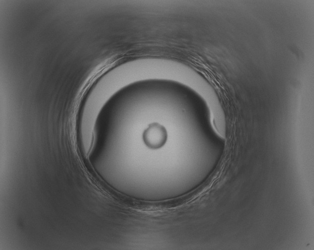 X0000116370293200912291716