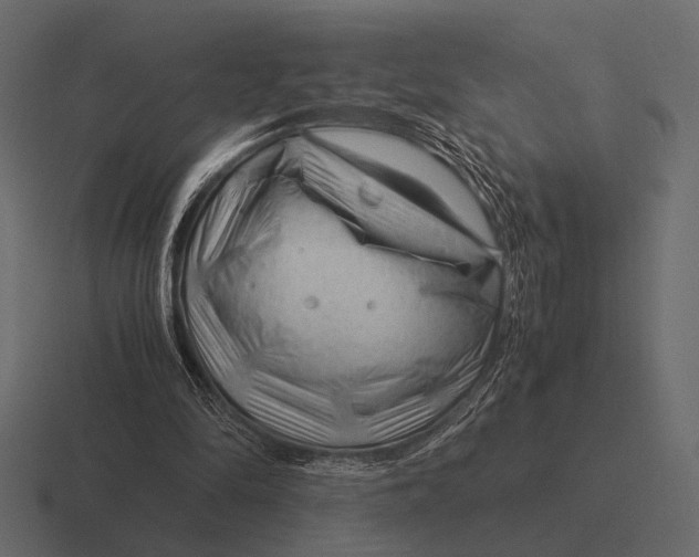 X0000116370294200912291716