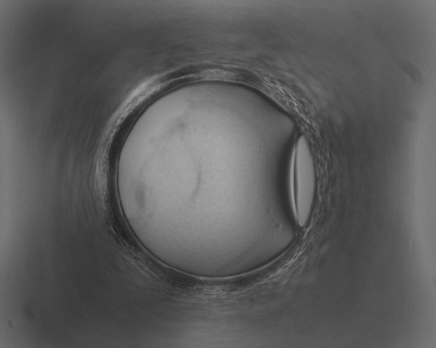 X0000116370295200912291716