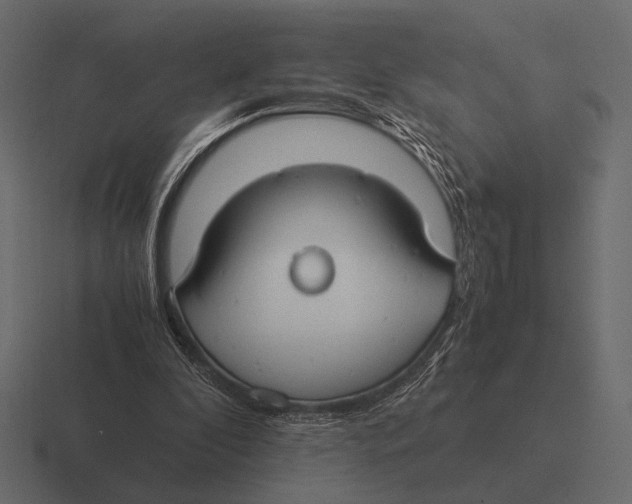 X0000116370296200912291716