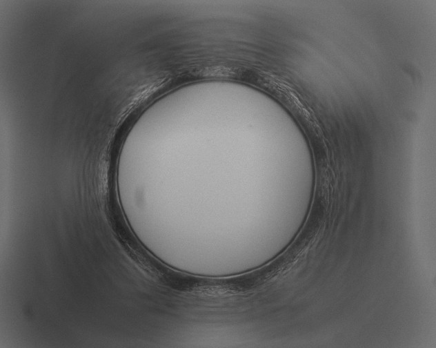 X0000116370299200912291715