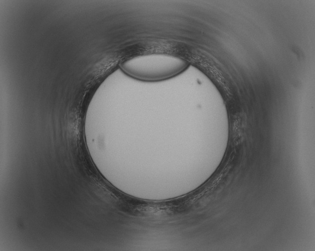 X0000116370305200912291715