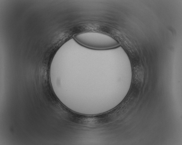 X0000116370313200912291715