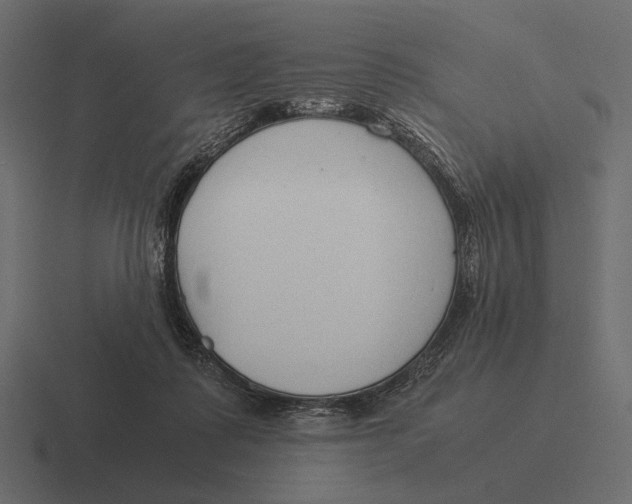 X0000116370315200912291715