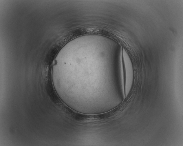 X0000116370319200912291715