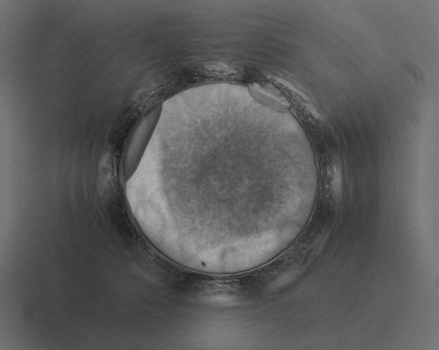 X0000116370320200912291715