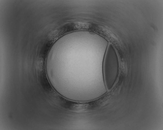 X0000116370323200912291715