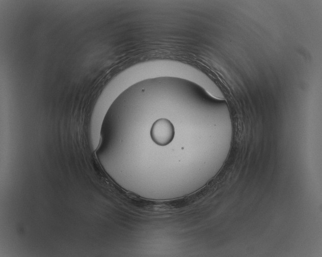 X0000116370324200912291715