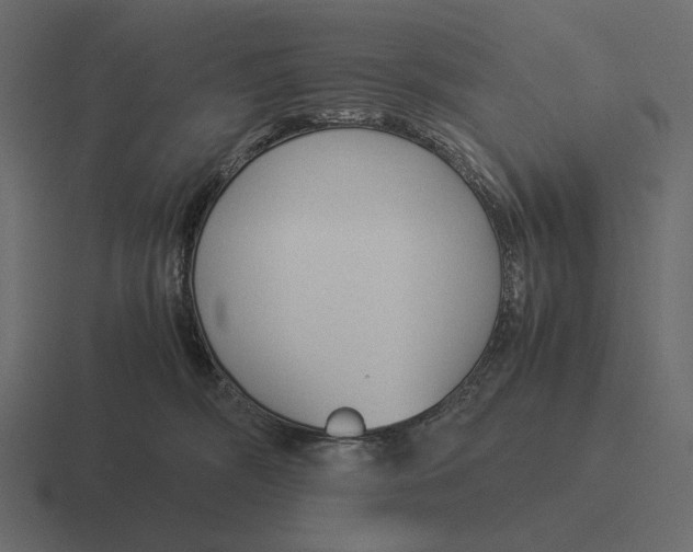 X0000116370326200912291715