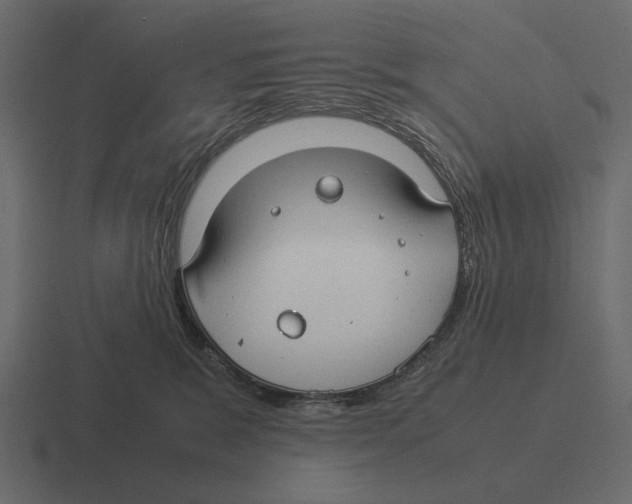 X0000116370327200912291715