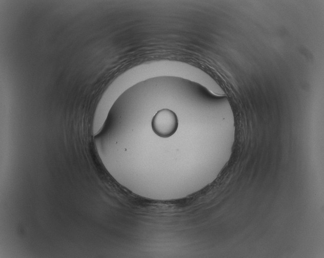 X0000116370328200912291715