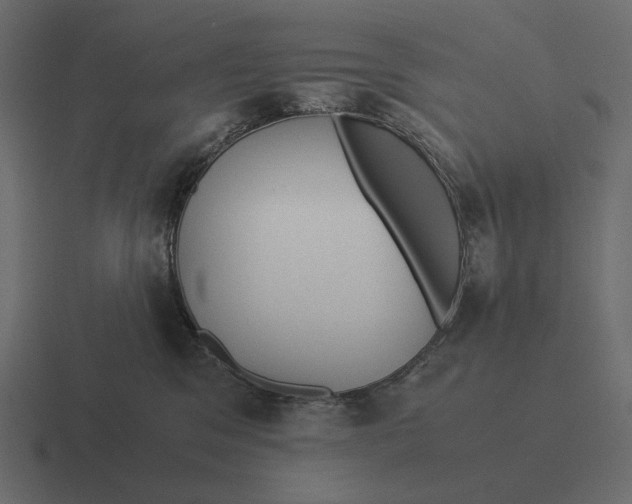 X0000116370329200912291715