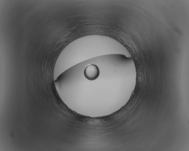 X0000116370332200912291715