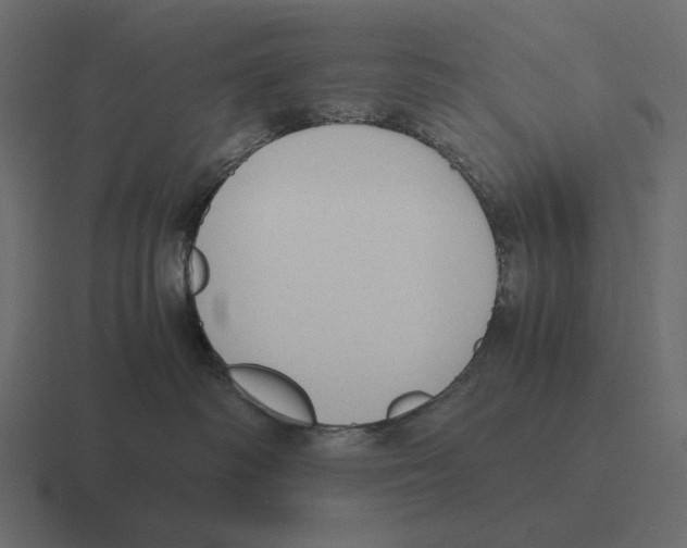 X0000116370334200912291715