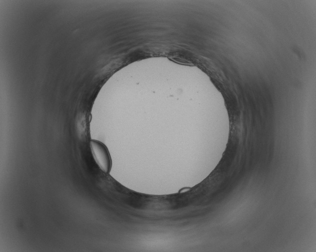 X0000116370335200912291715